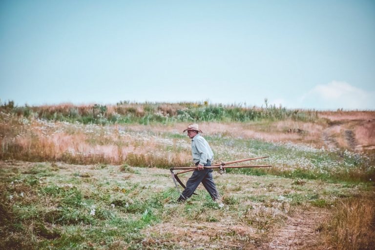 passende Sense kaufen – Bauer mit traditionellem Mähgerät auf Wiese