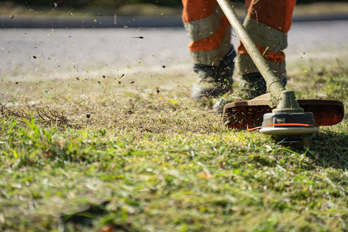 passende Sense kaufen – Grasschnitt mit Gartengerät im Vergleich