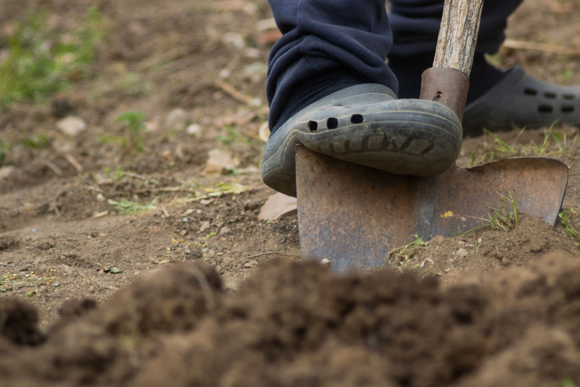 Erdkabel verlegen ohne Graben – Spaten hebt eine kleine Startgrube im Gartenboden aus