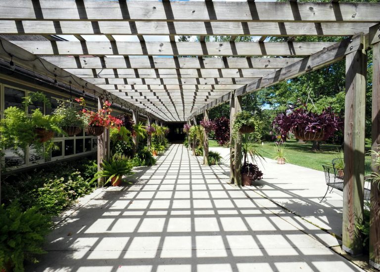 Pergola selber bauen – klassische Holzpergola mit Lattendach und Pflanzen