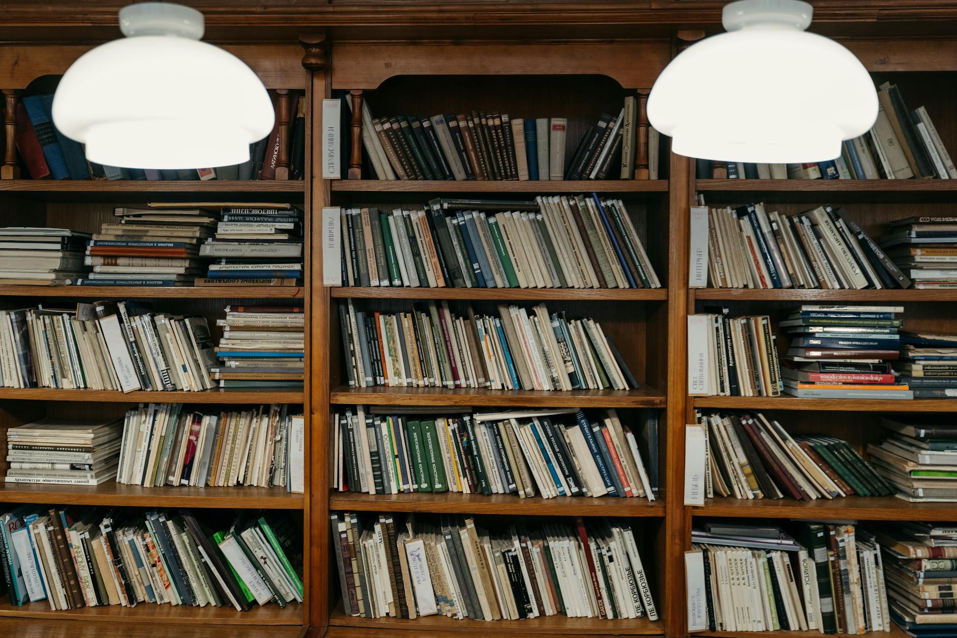 Regal selber bauen – Holzregal voller Bücher zeigt die Belastung der Böden