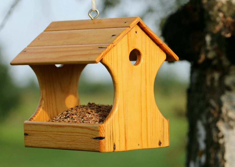 Vogelhaus selber bauen – selbst gebautes Holz-Futterhaus mit Vogelfutter