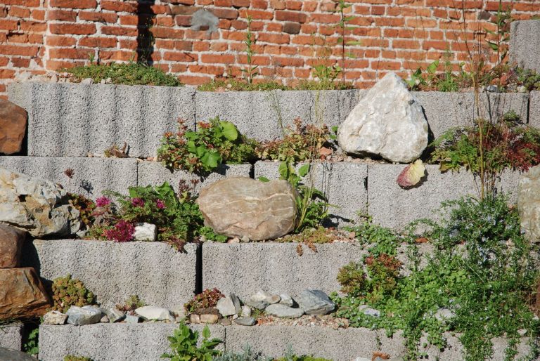L-Steine setzen ohne Fundament – gestufte Betonmauer mit bepflanzten Terrassen im Garten